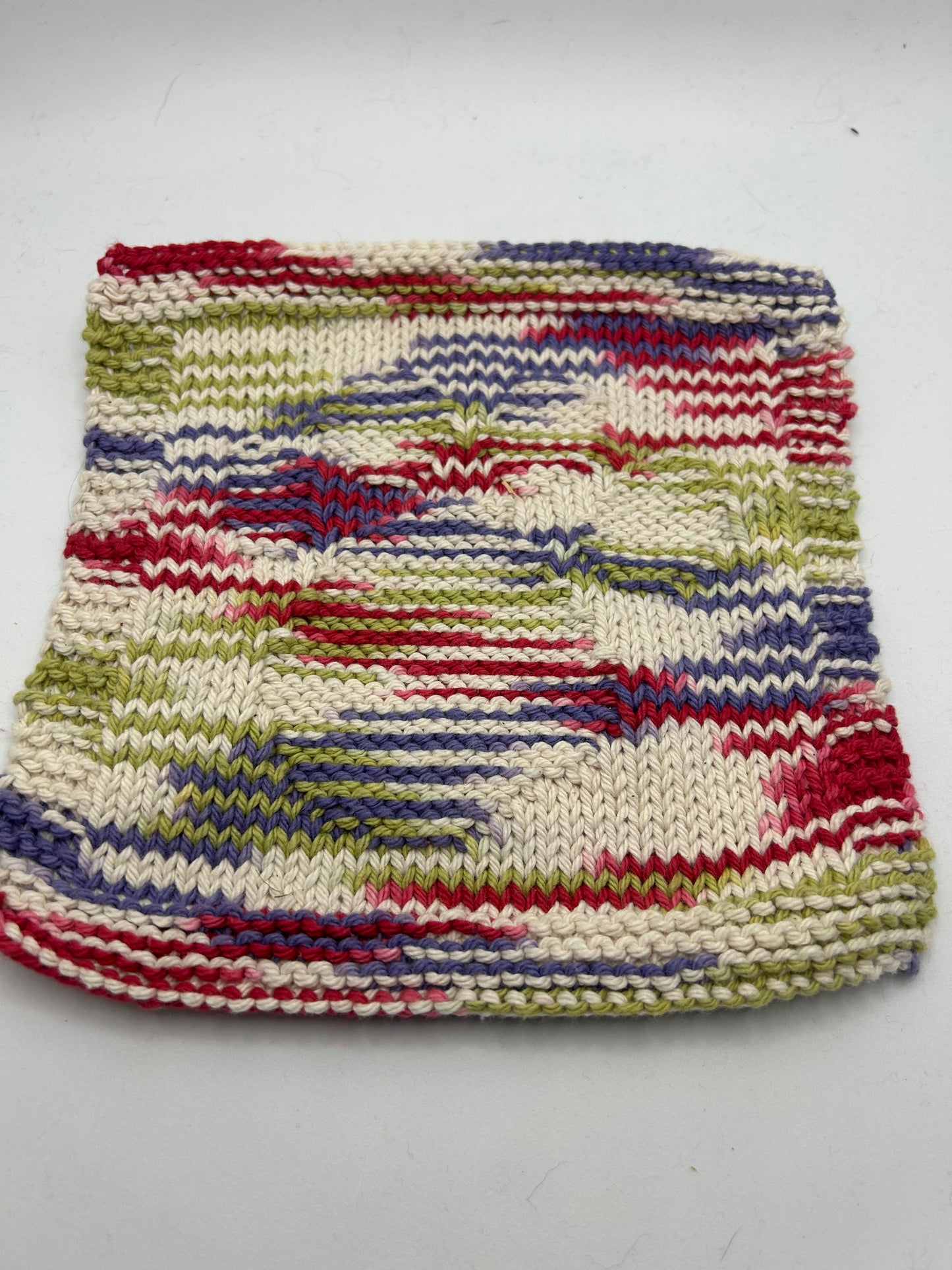 Paw Print - Dishcloth