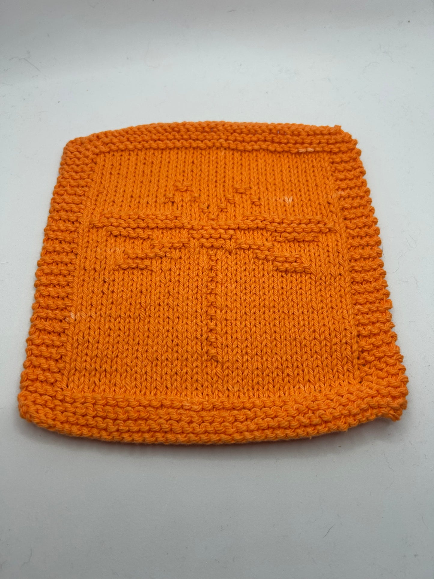 Dragonfly - Dishcloth